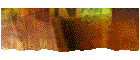 Links