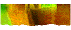Request Information